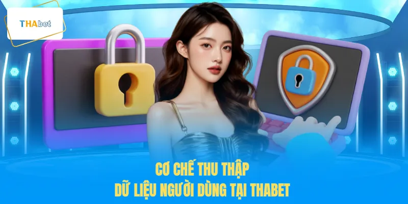 Cơ chế thu thập dữ liệu người dùng tại THABET